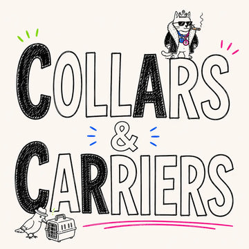 Hand-drawn Collars & Carriers category card for The Apartment Cat