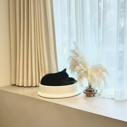 Round cat scratcher bed on white base with gray cardboard top, black cat resting