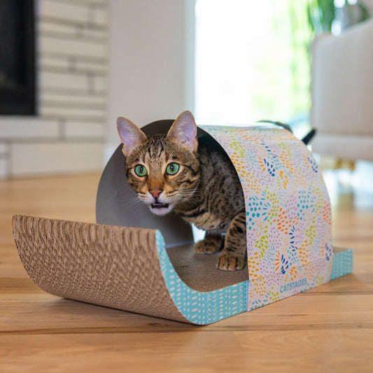 Cat using a patterned cardboard tunnel scratcher with dangling feather spring toy