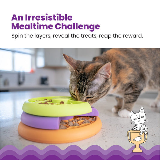 Cat eating from multilayer rotating feeder with lime, purple, and orange layers