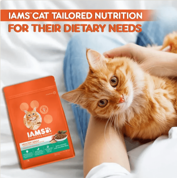 IAMS Proactive Health adult cat food bag with orange cat