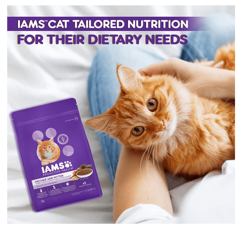 IAMS cat food bag beside an orange kitten; banner reads tailored nutrition.
