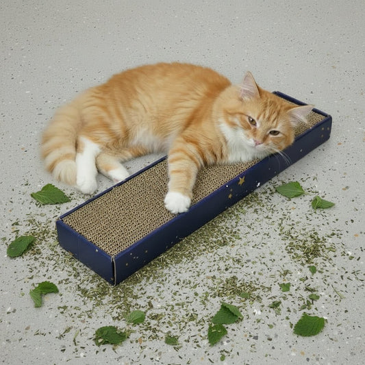 Blue corrugated cat scratcher with catnip, cat resting on it.