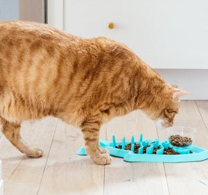 Teal shark-shaped pet snack mat with raised pegs and shallow treat wells