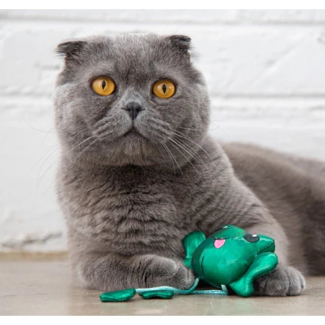 Petstages Toss 'N Dangle Frog Catnip Cat Toy — cat with frog toy
