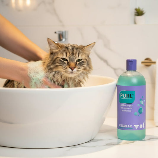 PURL regular shampoo bottle for dogs, cats and horses, 500 ml