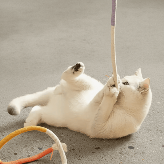 Tassel rope cat chew toy in purple and beige, shown during play