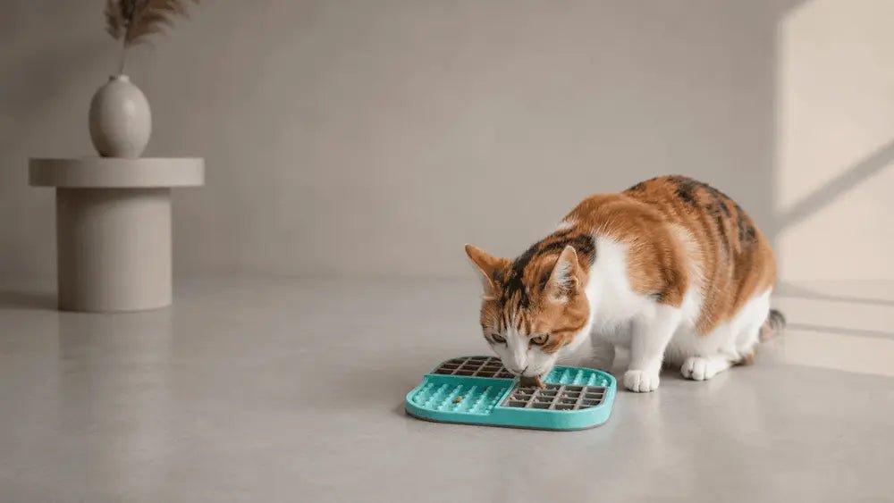 LickiMat slow feeders and enrichment ideas for indoor cats