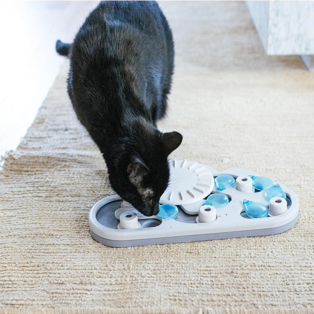 Black cat playing with the Catstages Nina Ottosson Rainy Day Puzzle & Play