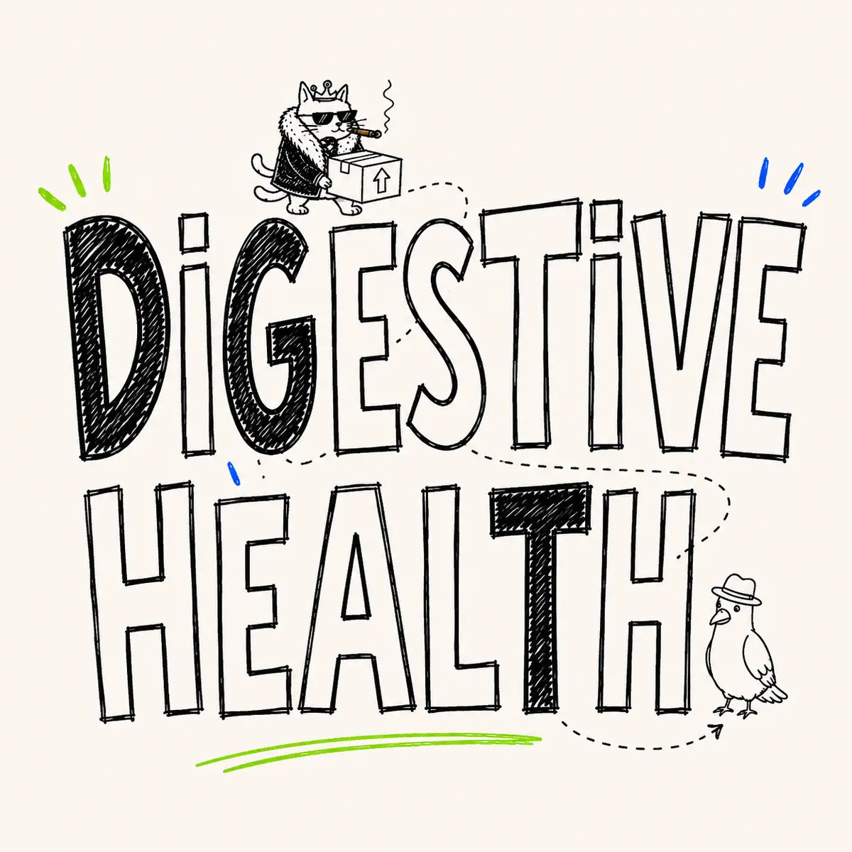 Hand-drawn Digestive Health category card for The Apartment Cat
