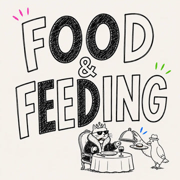 Hand-drawn Food & Feeding category card for The Apartment Cat