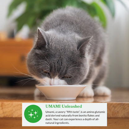 Gray cat leaning over bowl of creamy dashi broth with visible flakes