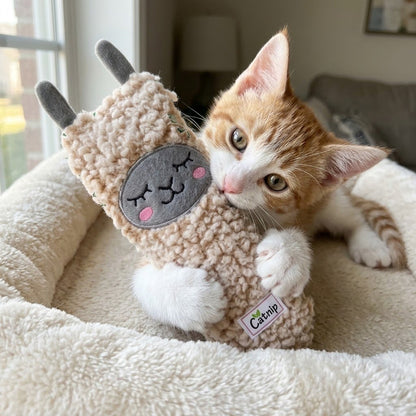 Llama plush catnip toy next to an orange-and-white kitten