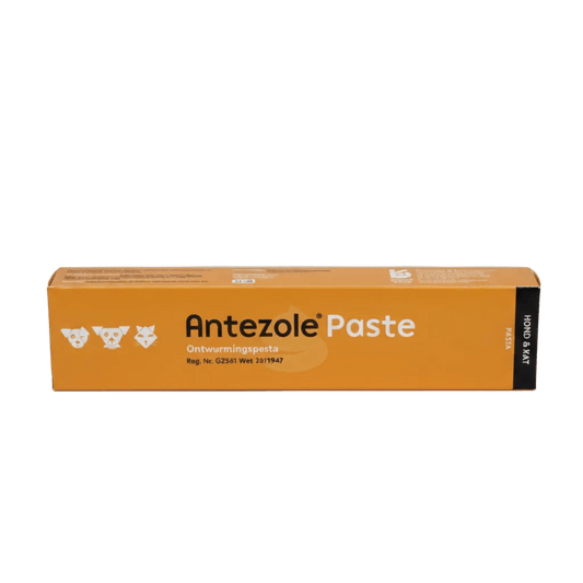 Antezole Paste 15 ml orange carton, front label and text visible
