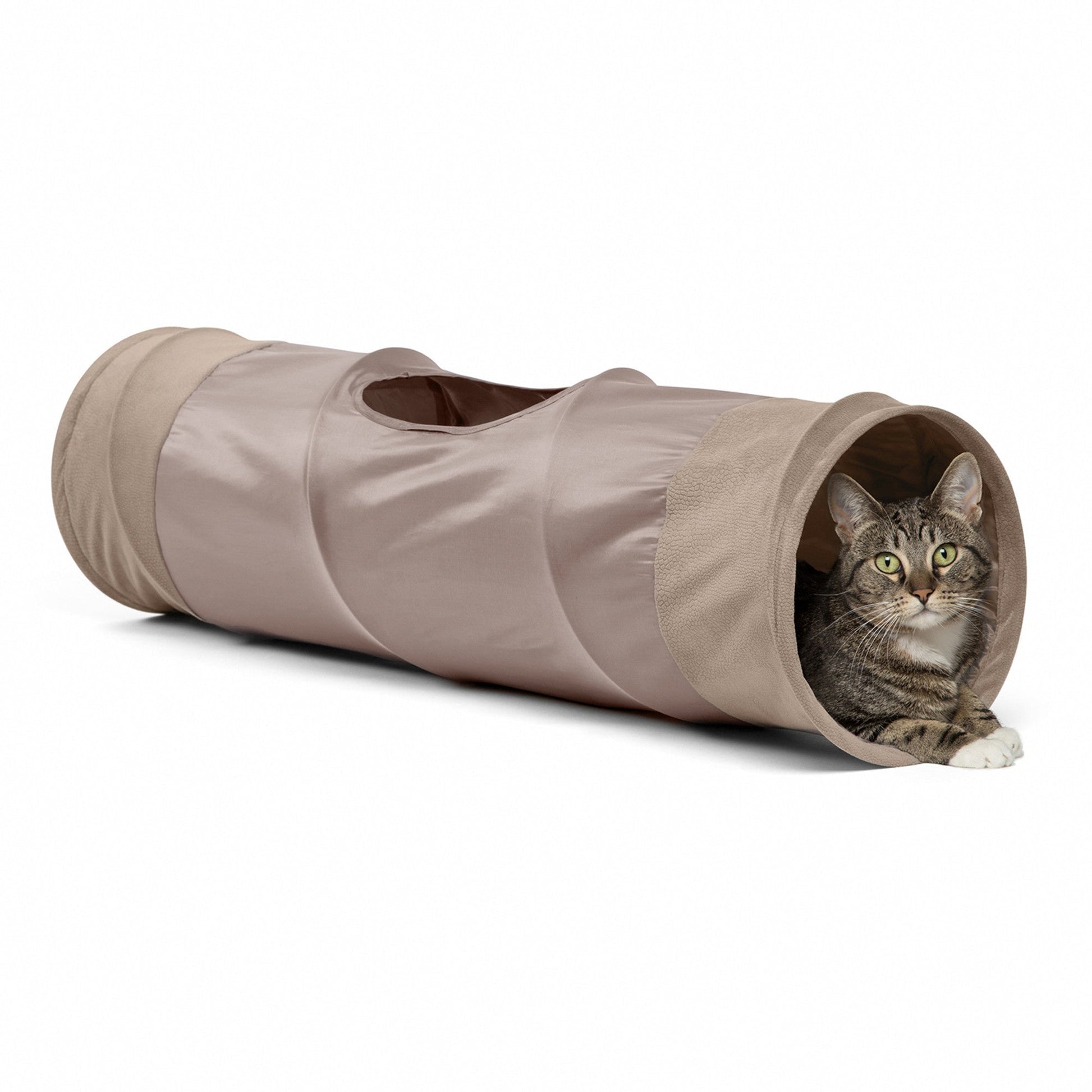 Best Friends by Sheri Ilan cat tunnel side view