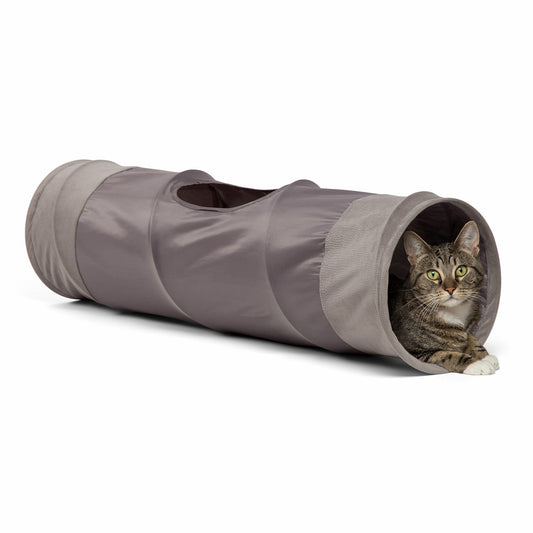 Best Friends by Sheri Ilan grey cat tunnel with cat inside