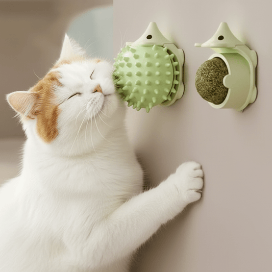 Wall-mounted catnip hedgehog toy, green spiky hedgehog with cat nearby