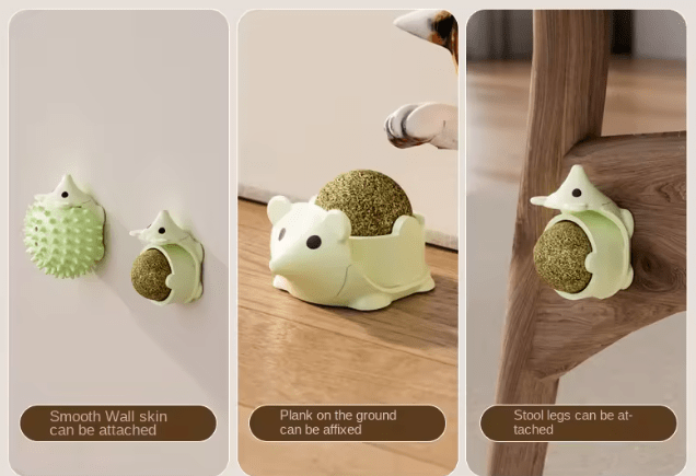 Wall-mounted catnip hedgehog toy in green shown on wall and on floor