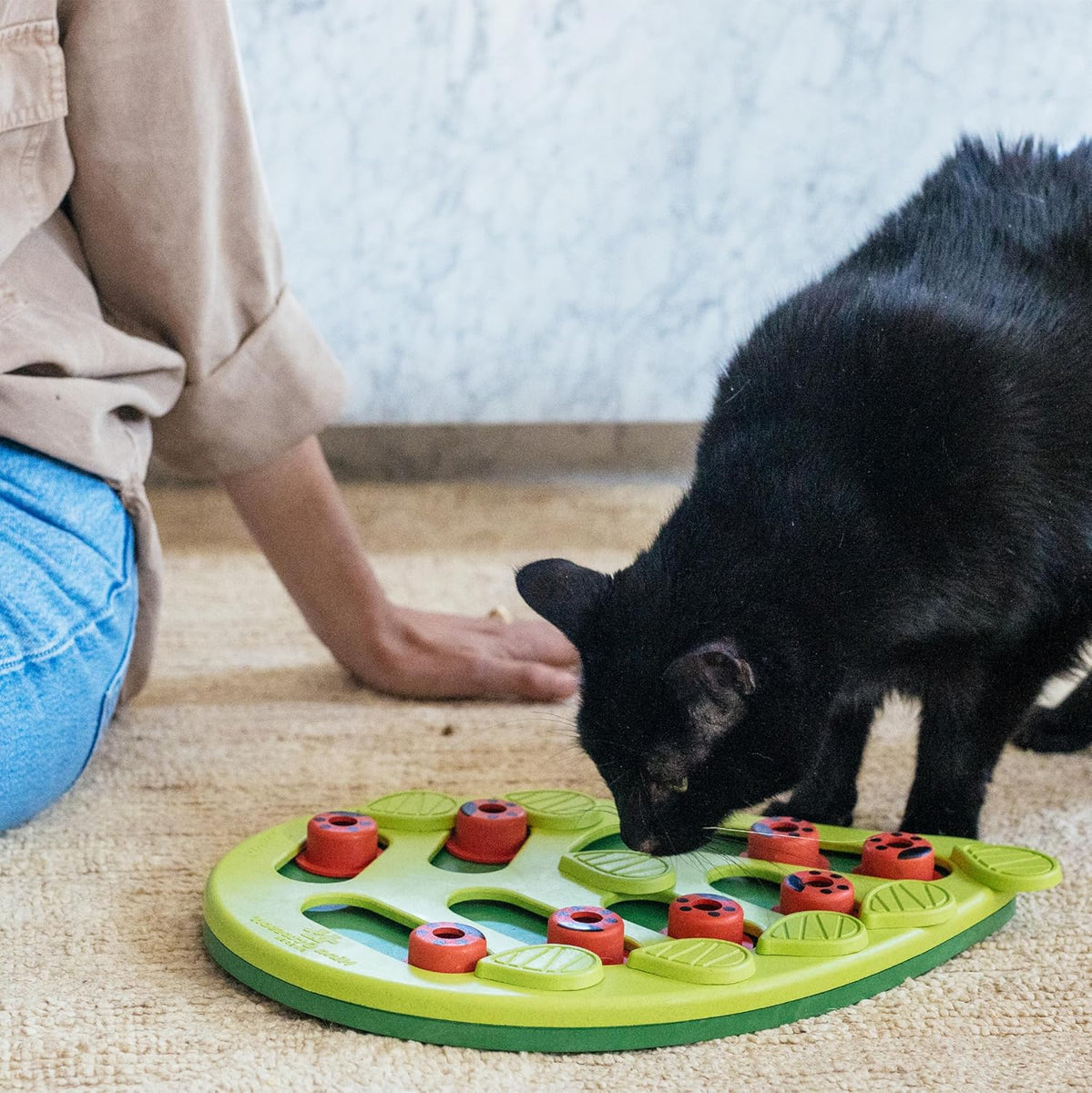 Black cat and human hand with green leaf-shaped puzzle feeder with red ladybug pegs