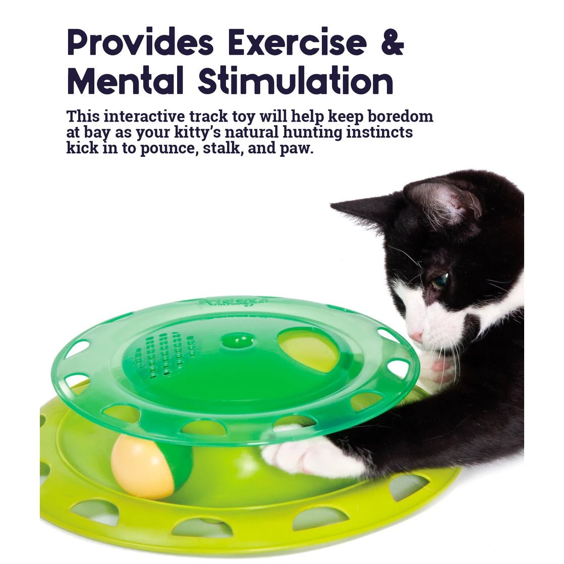 Catstages Catnip Chaser — exercise and play features