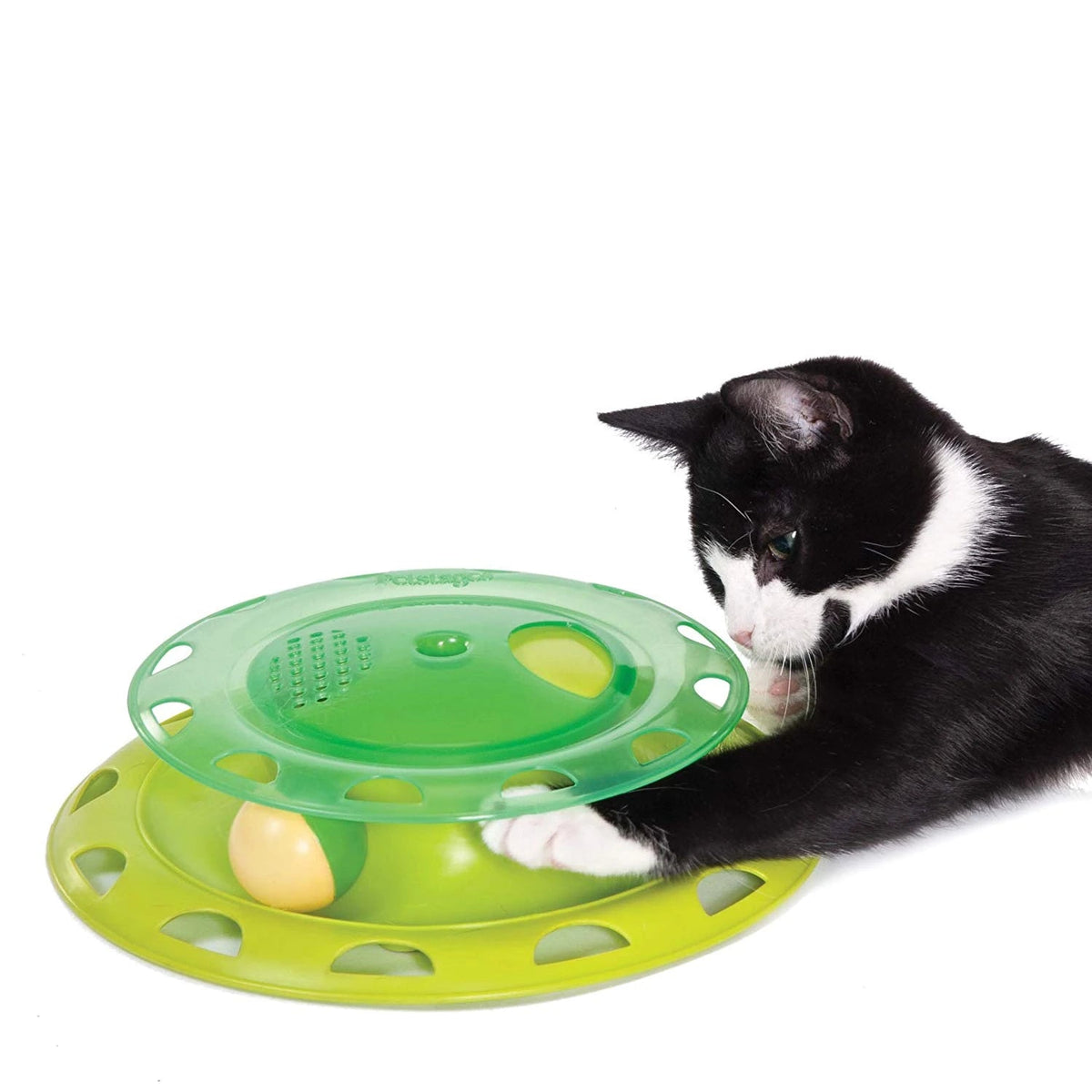 Catstages Catnip Chaser — cat playing with the toy