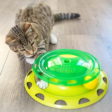 Green dome catnip chaser toy with yellow base and textured perforated center