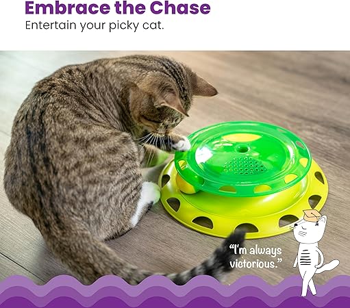 Green and yellow catnip chaser toy with clear top dome and perforated play surface