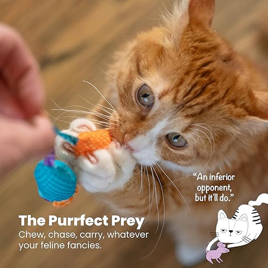 Tabby cat chewing plush catnip dental mouse toy in blue and orange