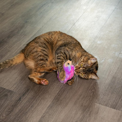 Purple and pink hedgehog catnip plush with tan face on hardwood floor