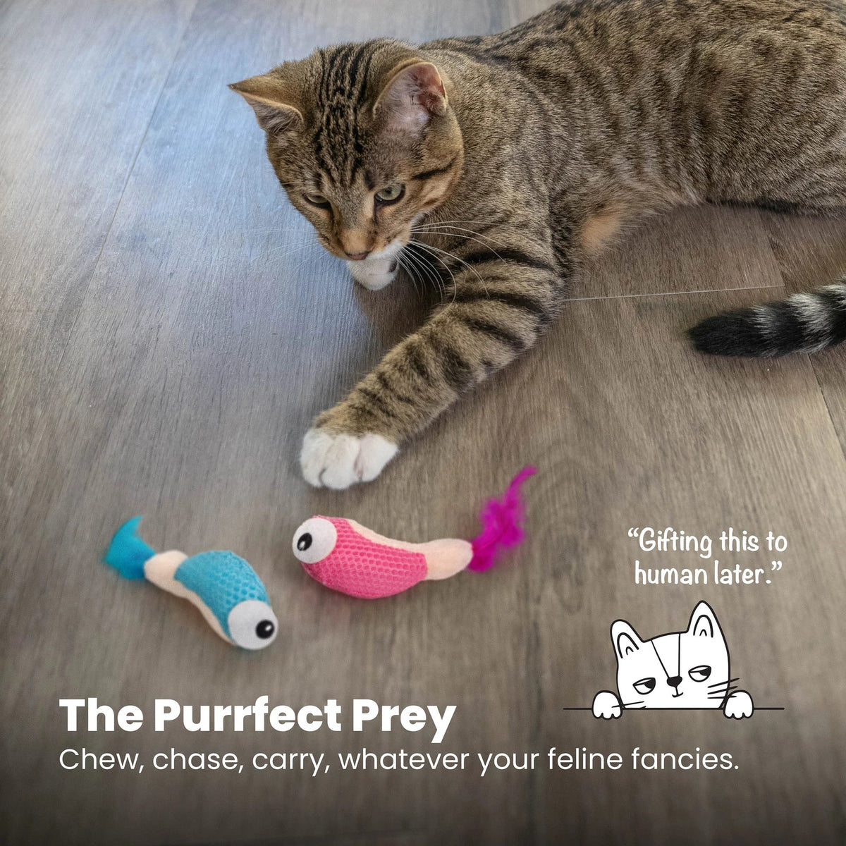 Catstages Dental Shrimpies Catnip Cat Toy 2 Pack — play features