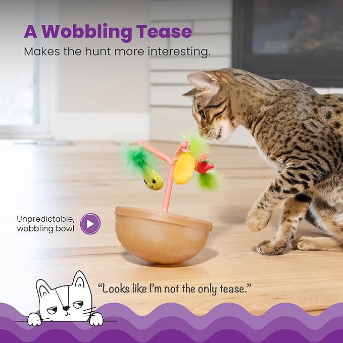 Tabby cat playing with fruit-bowl wobbling toy featuring hanging plush fruit and yellow ball