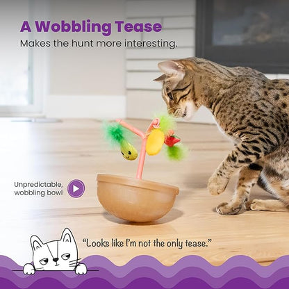 Tabby cat playing with fruit-bowl wobbling toy featuring hanging plush fruit and yellow ball