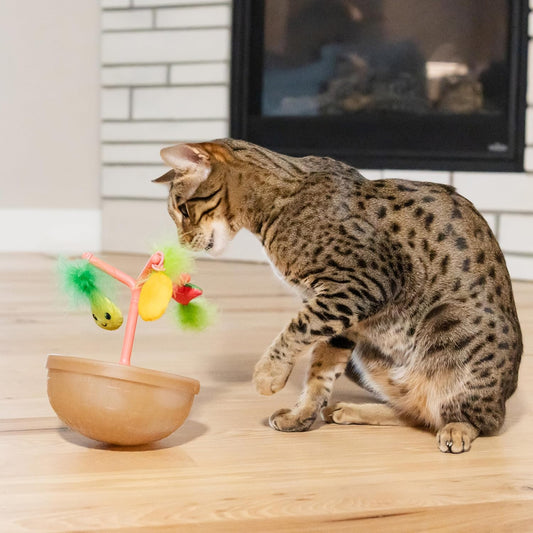 Tabby cat near fruit-bowl wobbling toy with hanging plush fruit and yellow ball