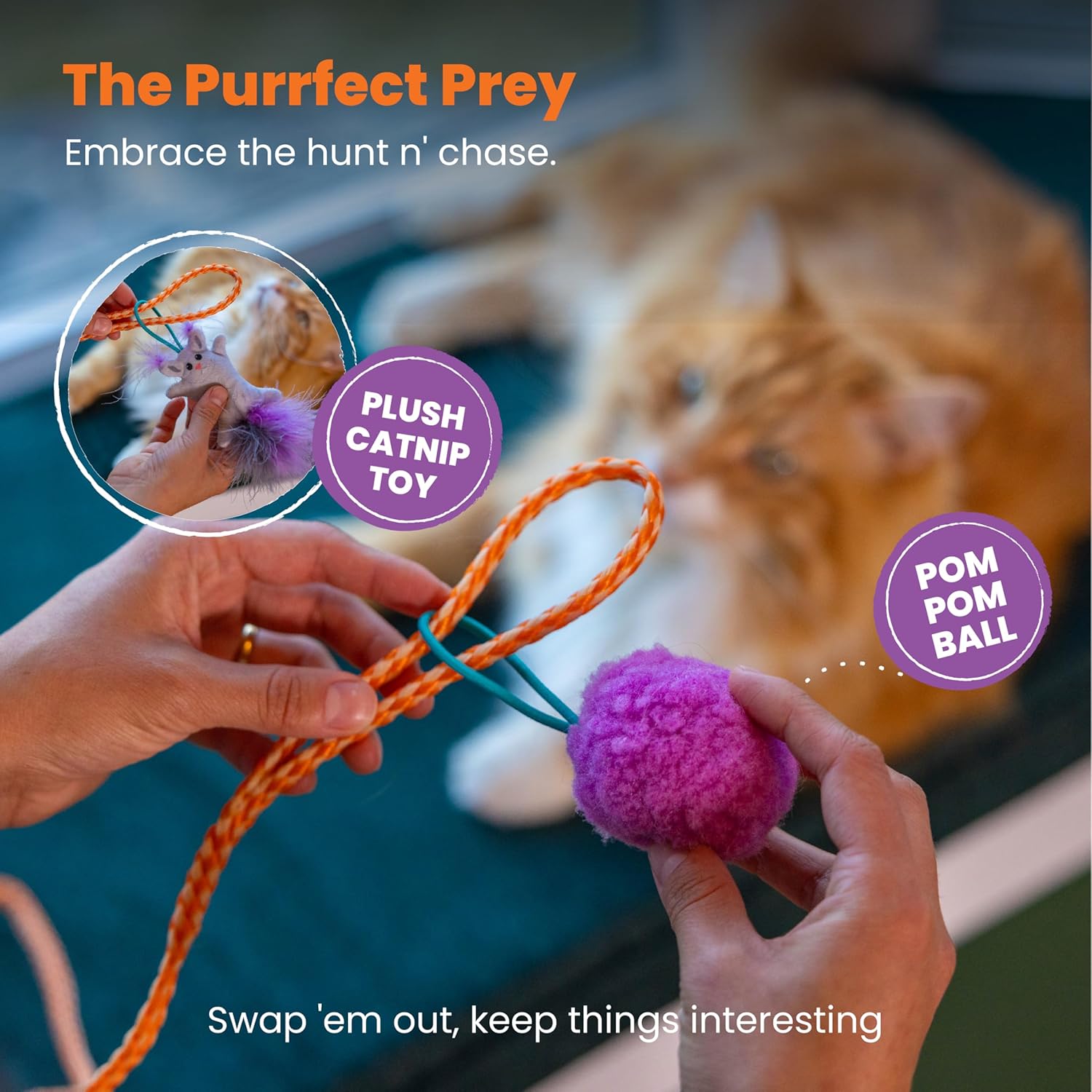 Cat teaser wand with orange cord, teal spring wand, and purple pom ball toy