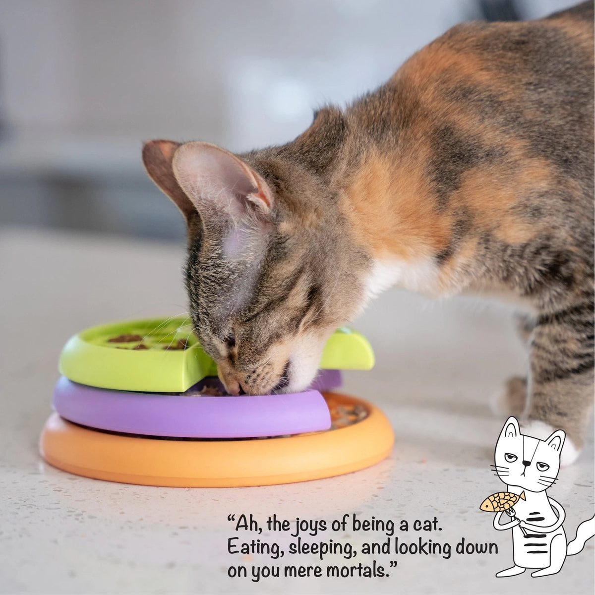 Catstages Kitty Lickin' Layers Multilayered Cat Fun Feeder - cat eating from the rotating feeder