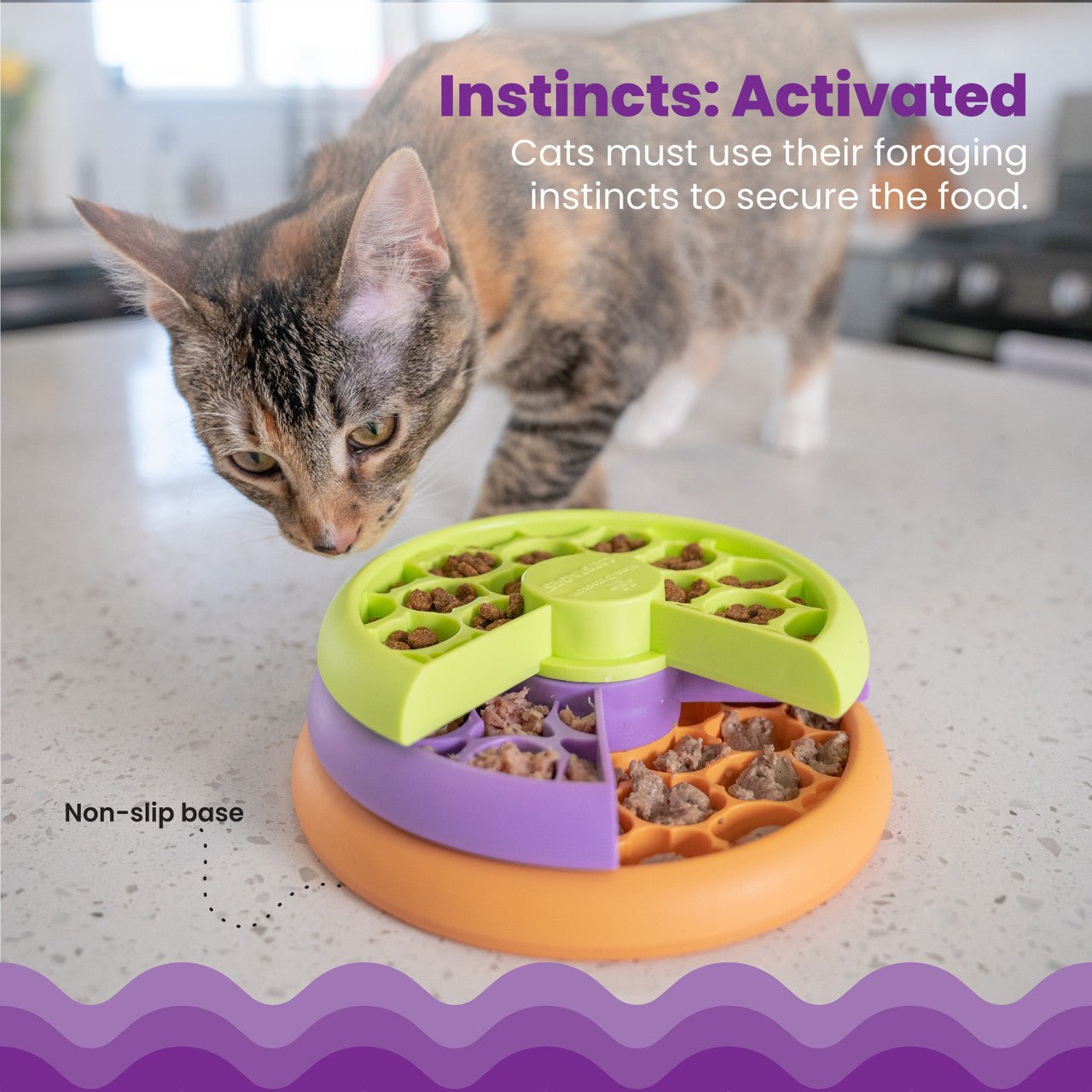 Cat using a multilayer rotating feeder; lime top with purple-orange base