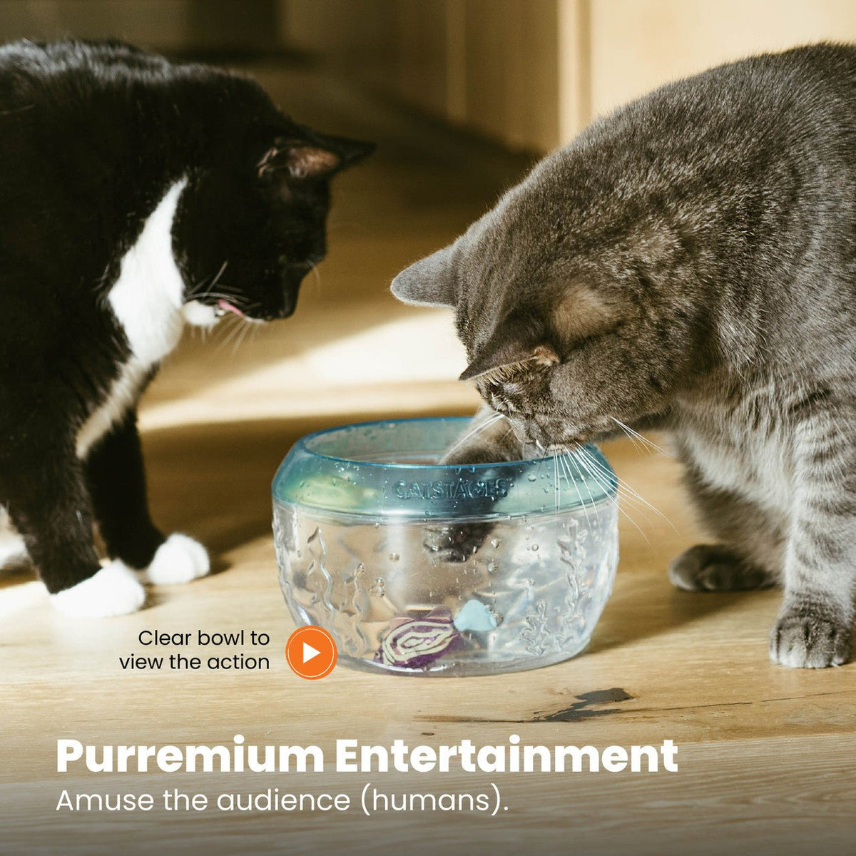 Two cats watching the clear Catstages Fish Bowl during play