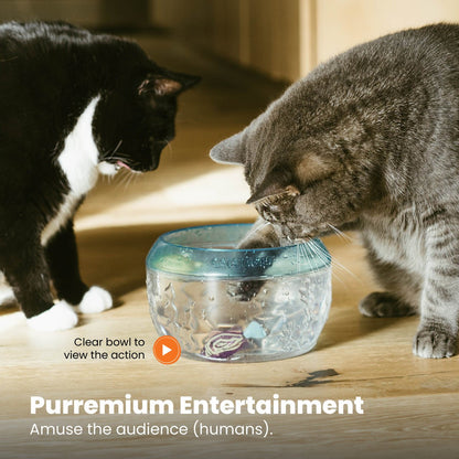 Two cats watching the clear Catstages Fish Bowl during play