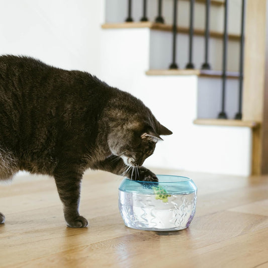 Cat playing with the Catstages Meow-smerizing Fish Bowl