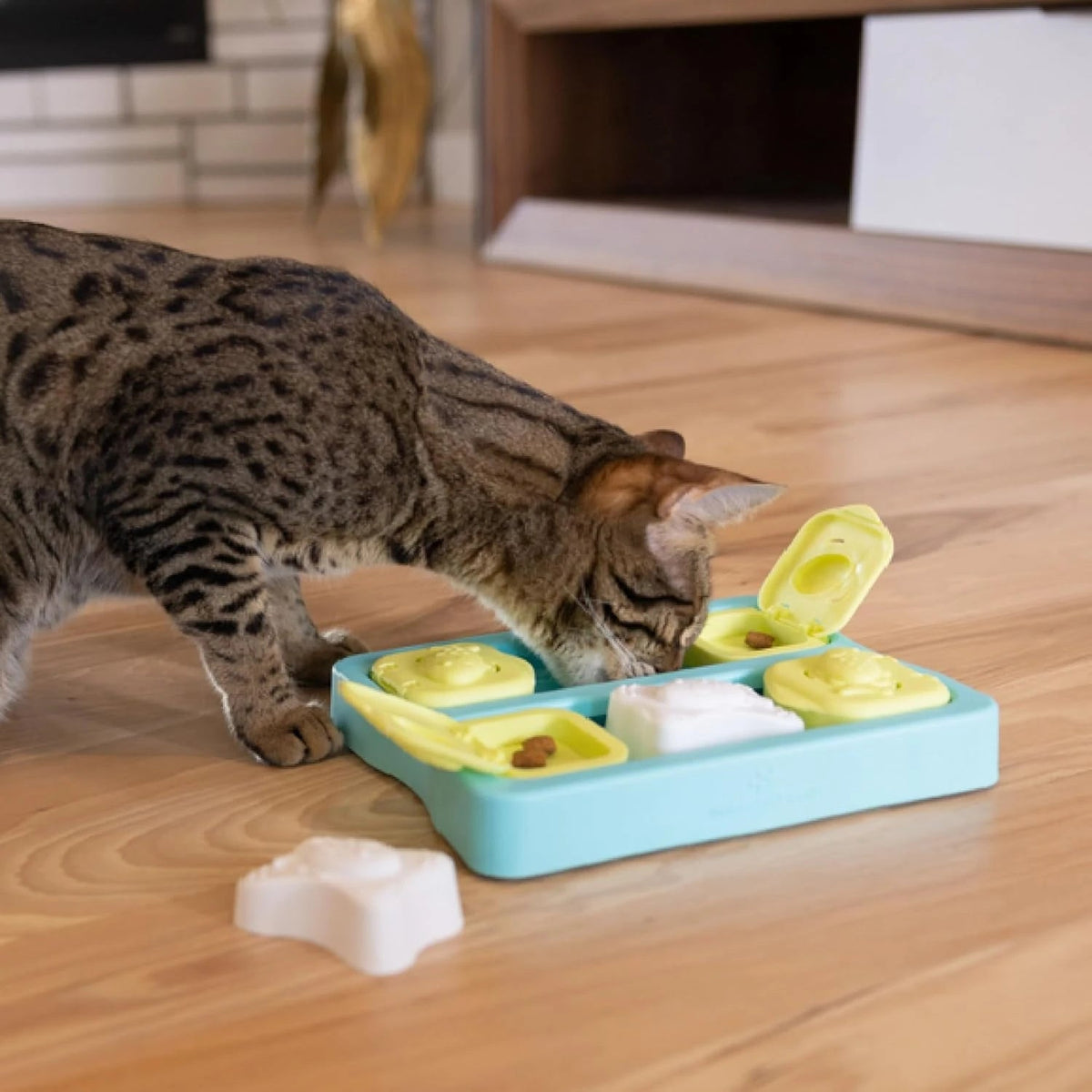 Catstages Nina Ottosson Kitty Cube Puzzle - cat exploring the treat compartments