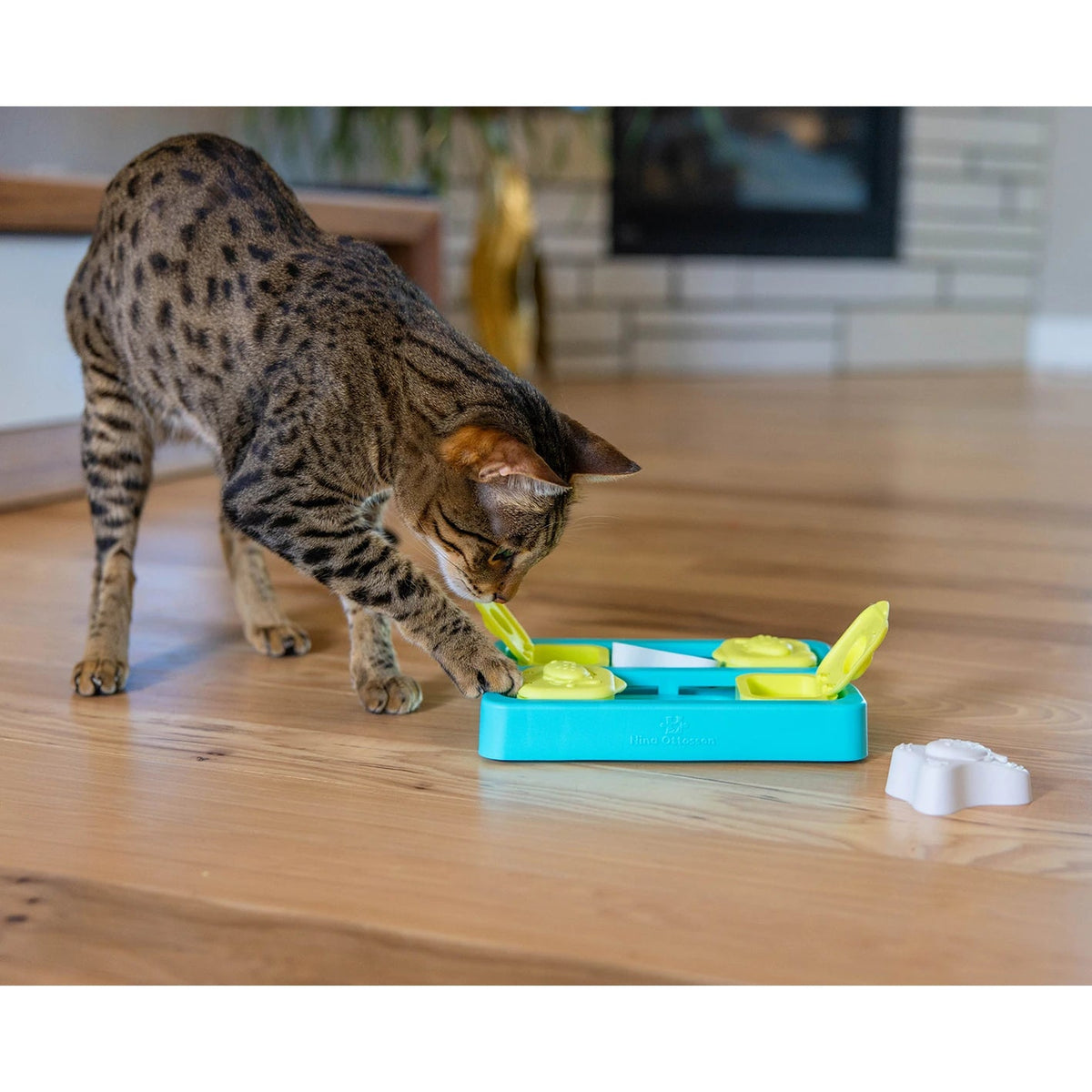 Catstages Nina Ottosson Kitty Cube Puzzle - cat using the puzzle with a removable block beside it