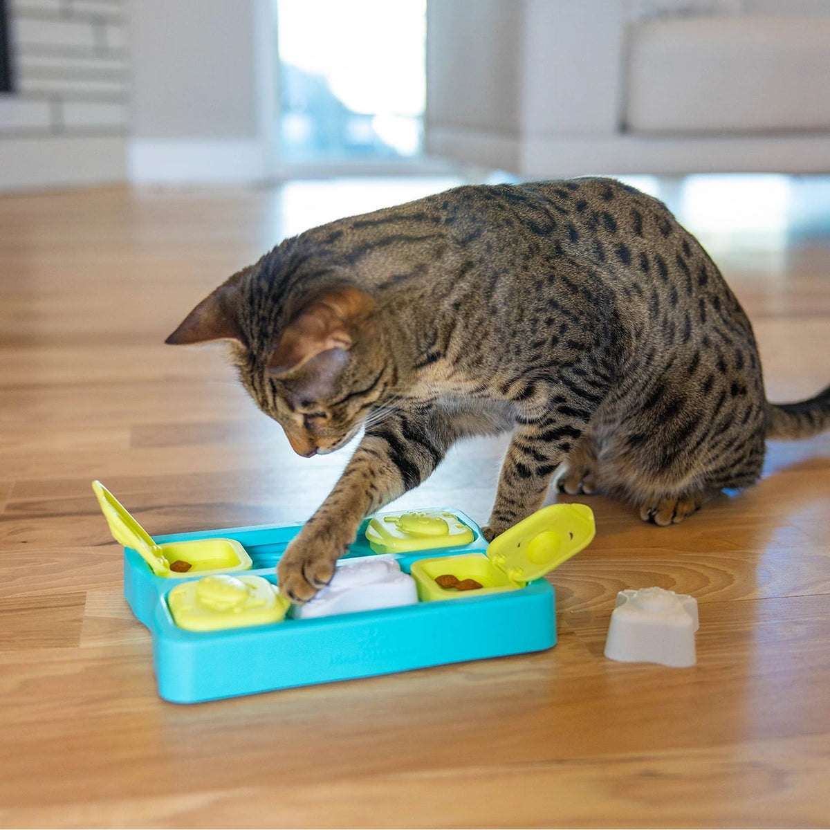 Catstages Nina Ottosson Kitty Cube Puzzle - cat lifting a lid with its paw
