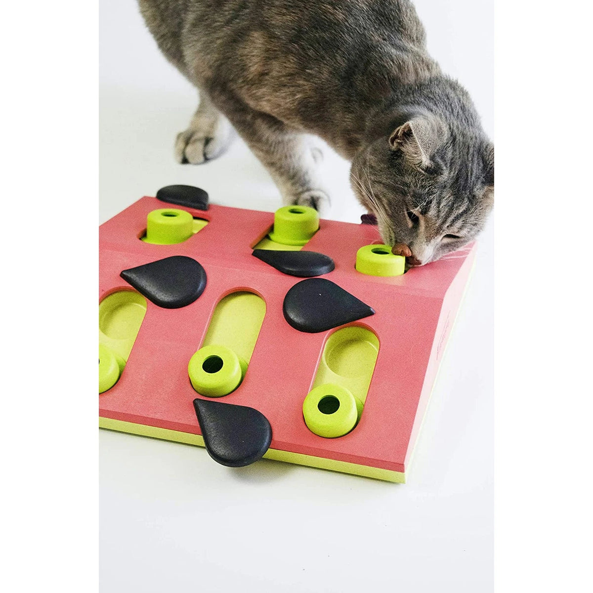 Catstages Nina Ottosson Melon Madness Puzzle & Play - tabby cat eating from the puzzle feeder