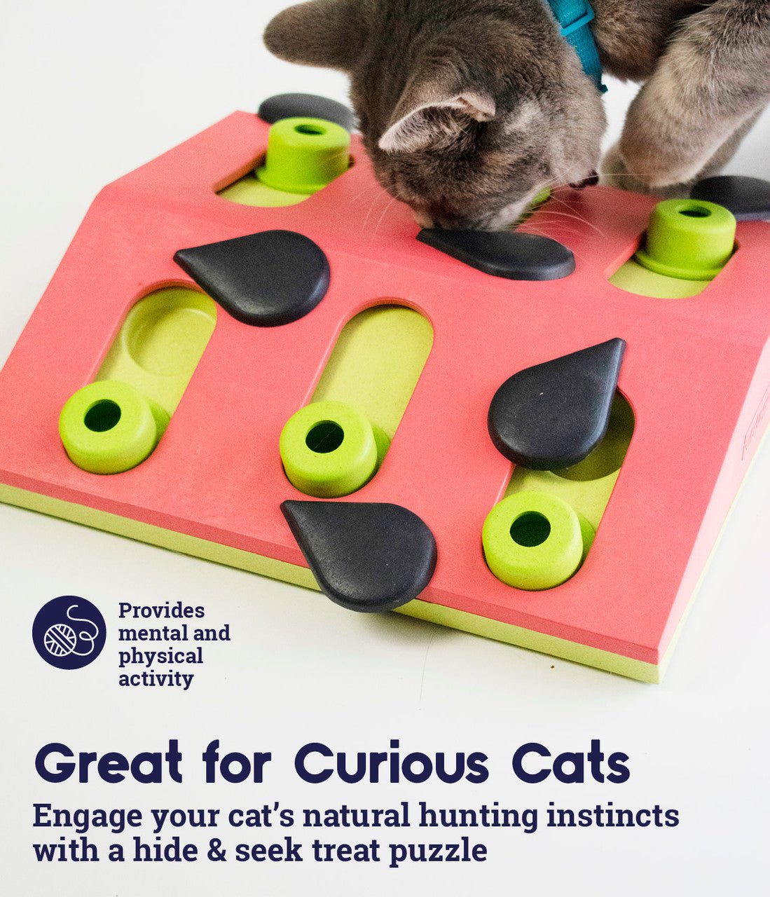 Cat paw on red treat puzzle board with green pegs and black sliding pieces