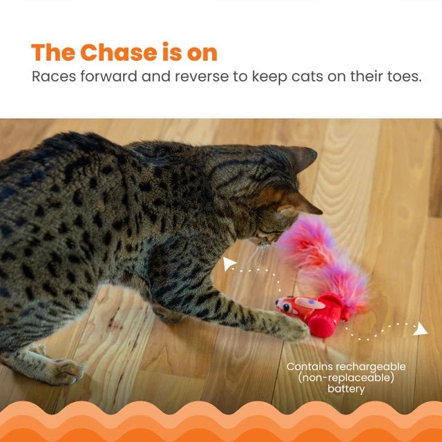 Catstages Racin’ Squirrel Robot Cat Toy — moving-toy play feature