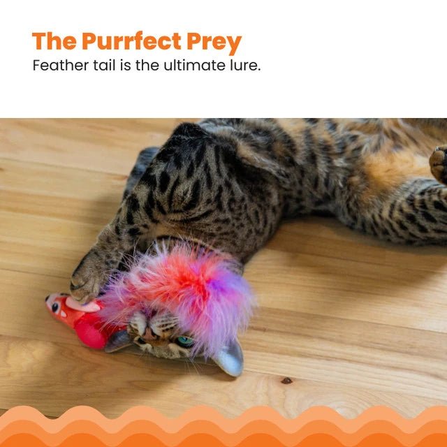 Catstages Racin’ Squirrel Robot Cat Toy — feather-tail play feature