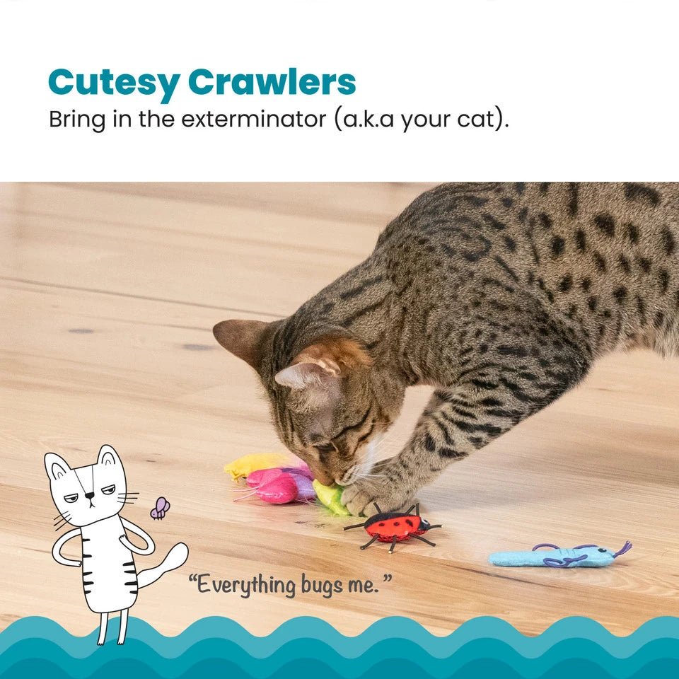 Cute As A Bug Kicker Catnip Toys — cat playing with the toy set