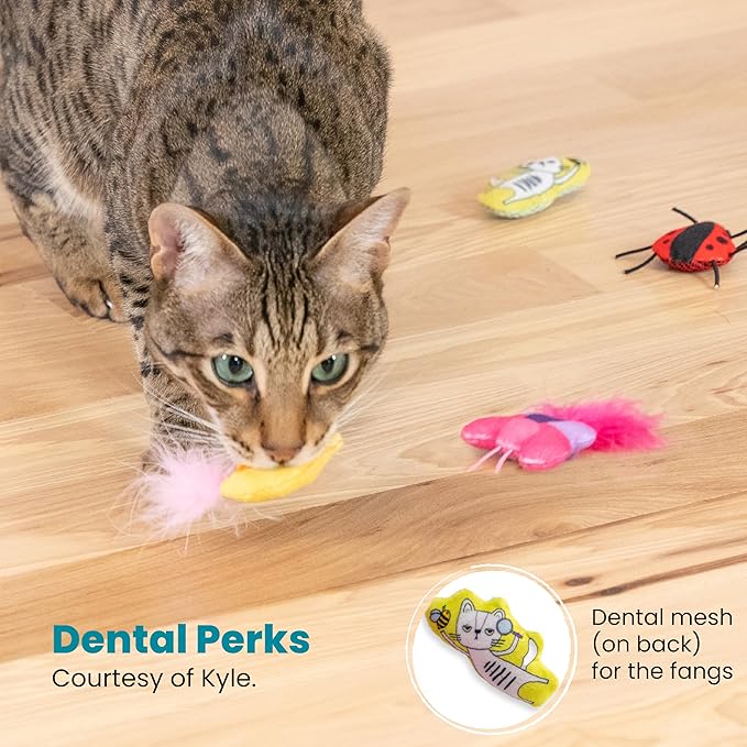 Tabby cat holding yellow-and-green bug catnip toy; pink and red crawler toys nearby