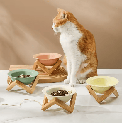Elevated ceramic cat bowls with bamboo stands in green, cream, and yellow tones