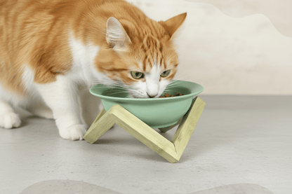 Elevated ceramic cat bowl with bamboo stand, green, shown with cat eating